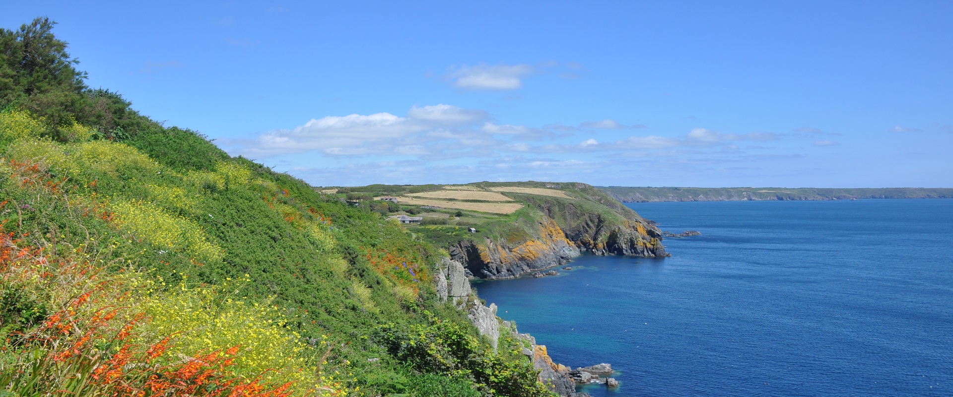 CORNOVAGLIA - SPECIALE AGOSTO 2026